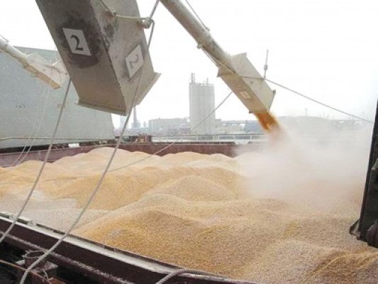 Afaceristul Şapera, specializat în ţepe cu cereale, rămâne în arest